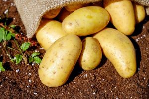 Fast Facts on Potatoes